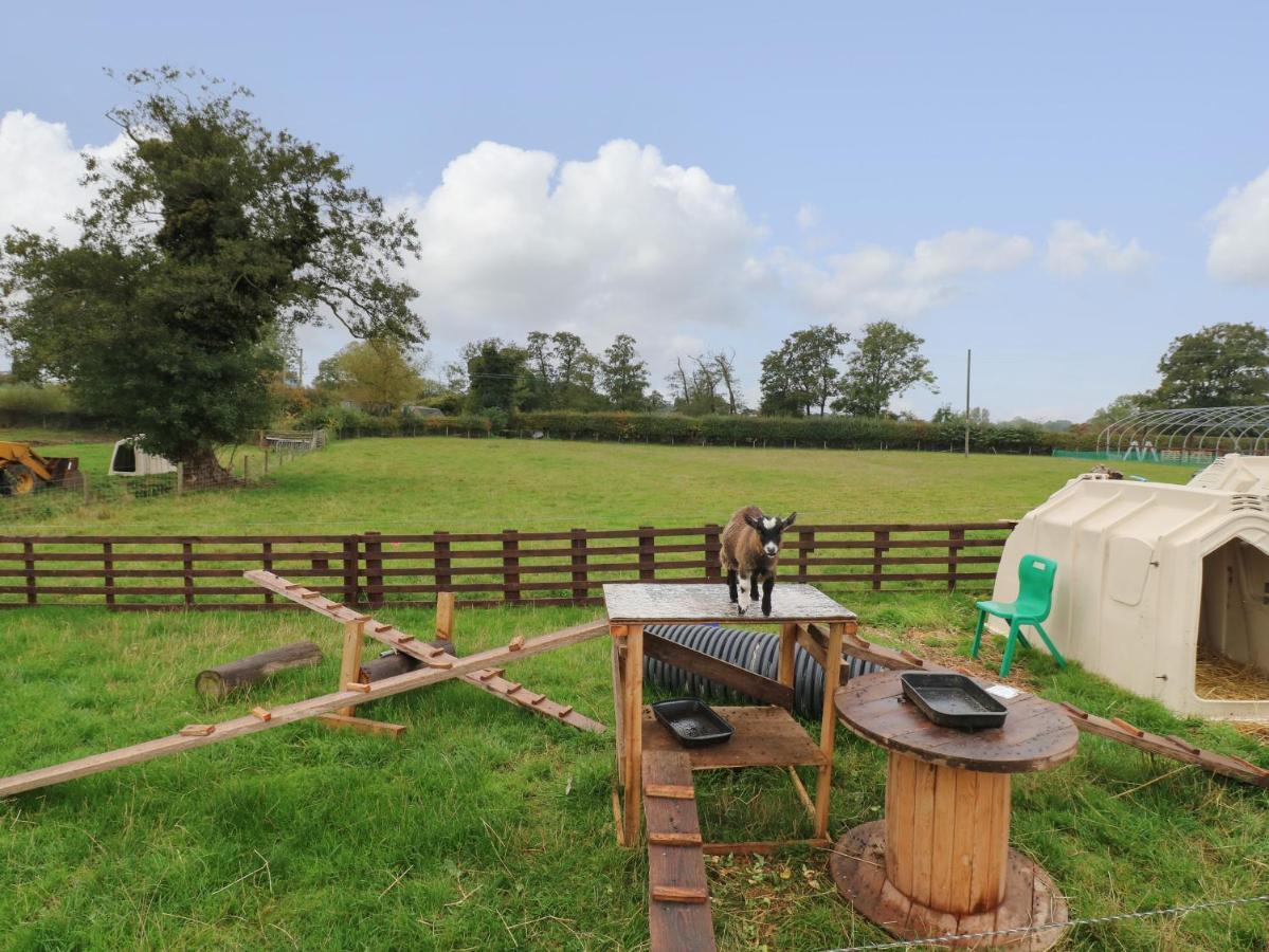 The Pod At Bank House Farm Villa Stafford Exteriör bild
